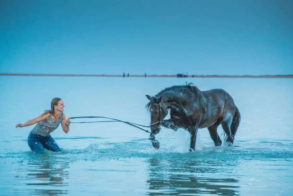 A girl enjoying in water with a horse