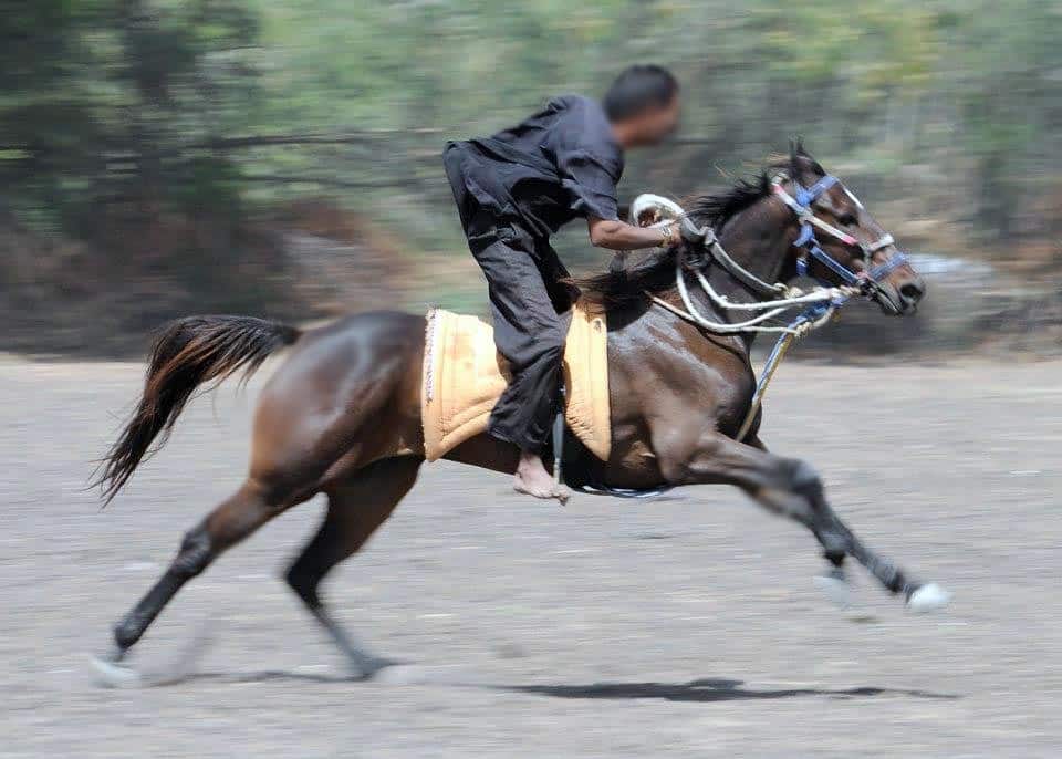 A person jumping off a horse's back riding a brown horse