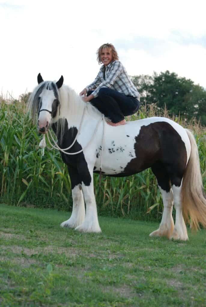 A woman riding a brown and white gypsy horse in a field