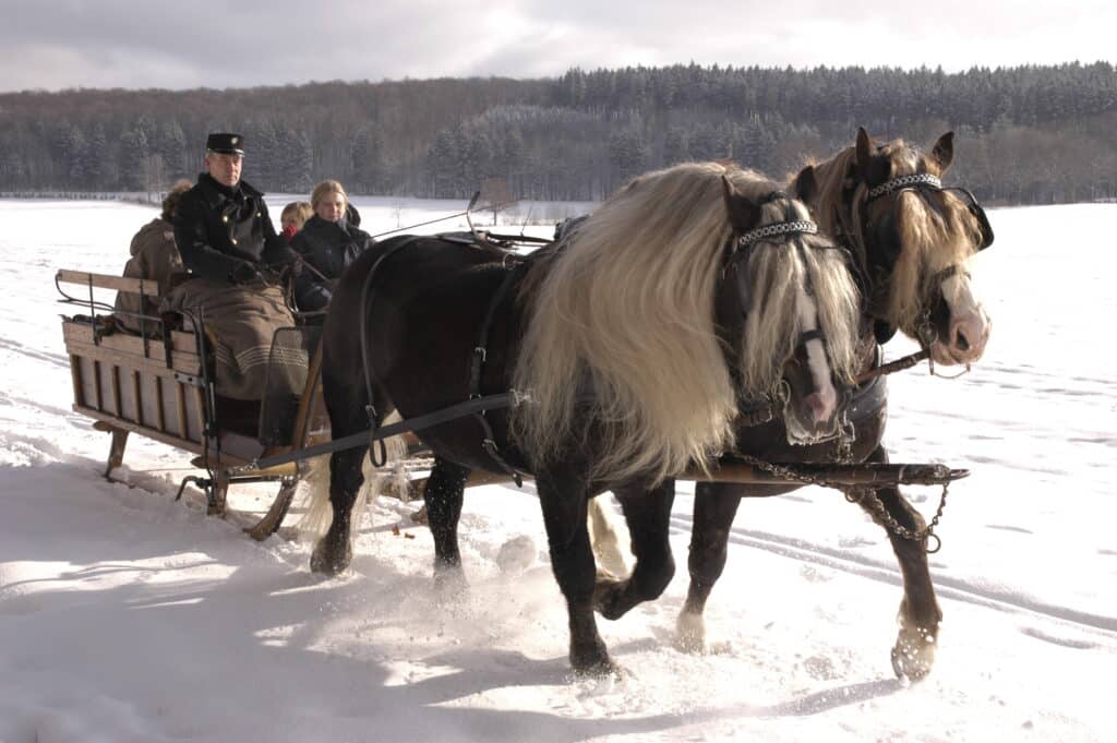 a man pulling a back forest horses cart