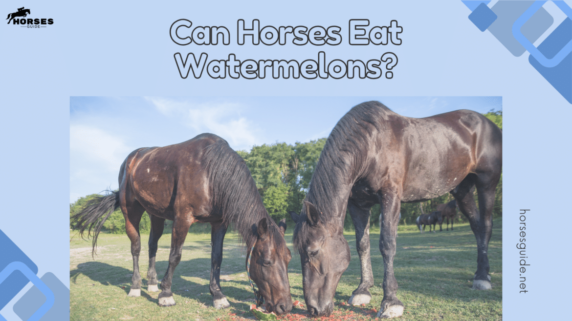 Guide to Can Horses Eat Watermelons Nutrition Essentials ( )