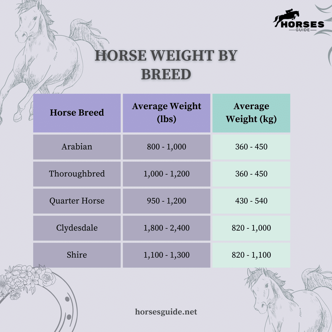 Horse weight by Breed