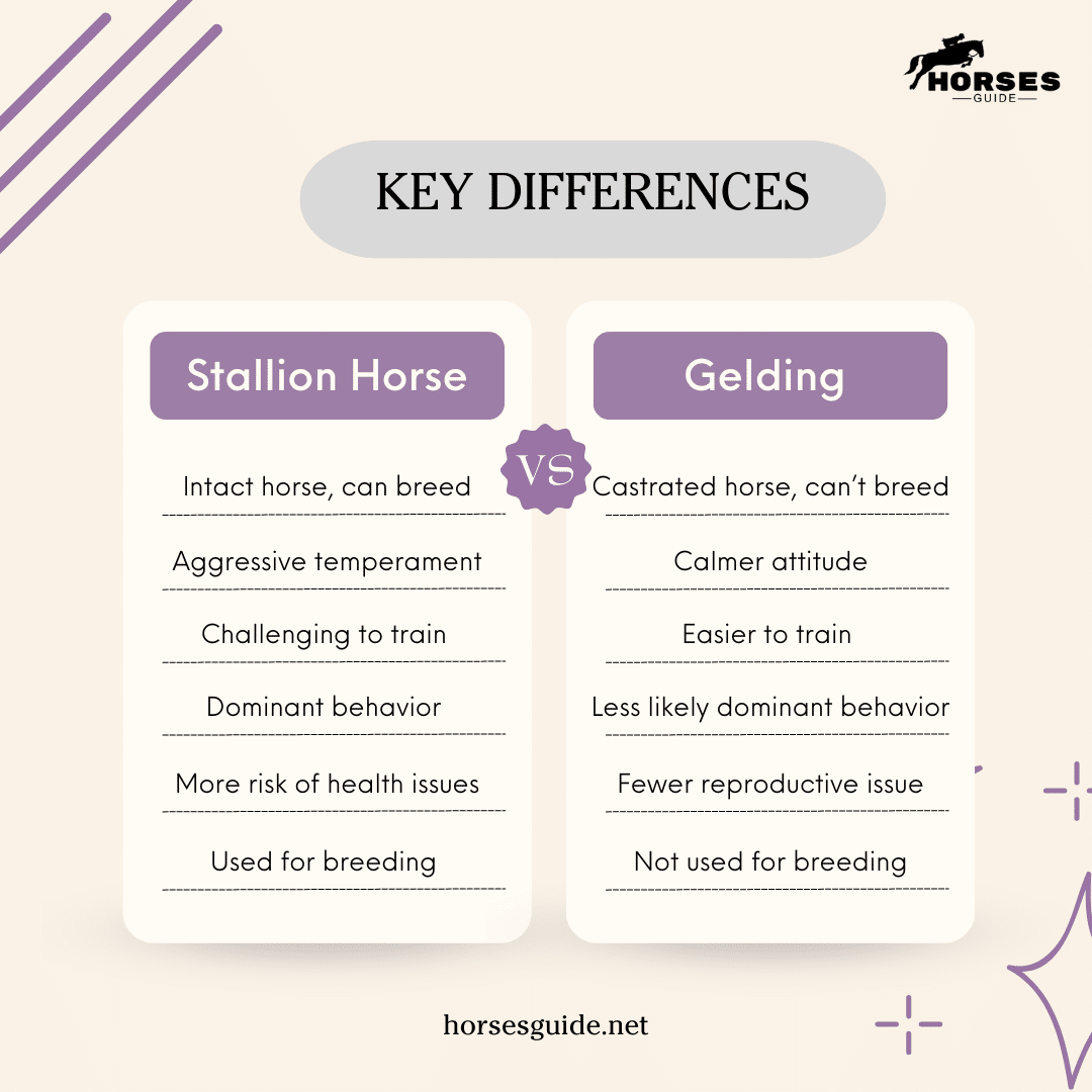 KEY DIFFERENCES