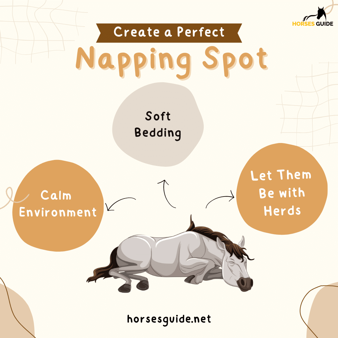 Create a Perfect Napping Spot