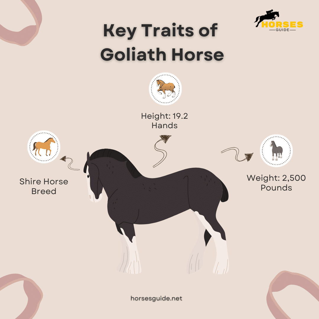 Key Traits of Goliath Horse