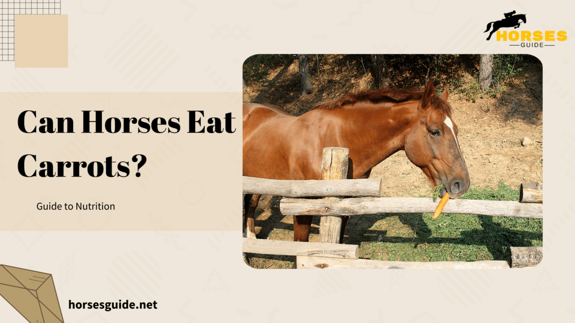 Can Horses Eat Carrots Guide to Nutrition