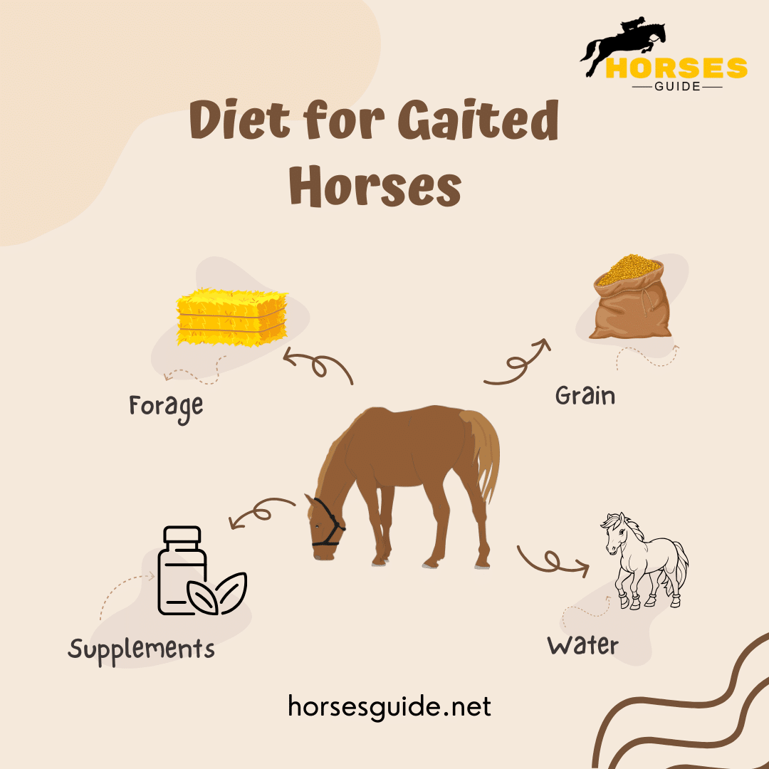 Diet for Gaited Horses infographic