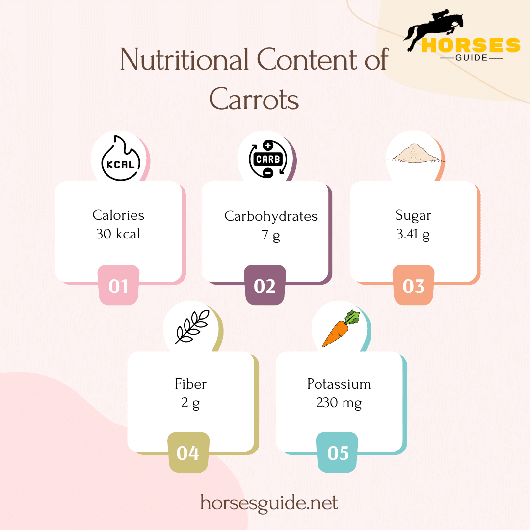 Nutritional Content of Carrots Infographic