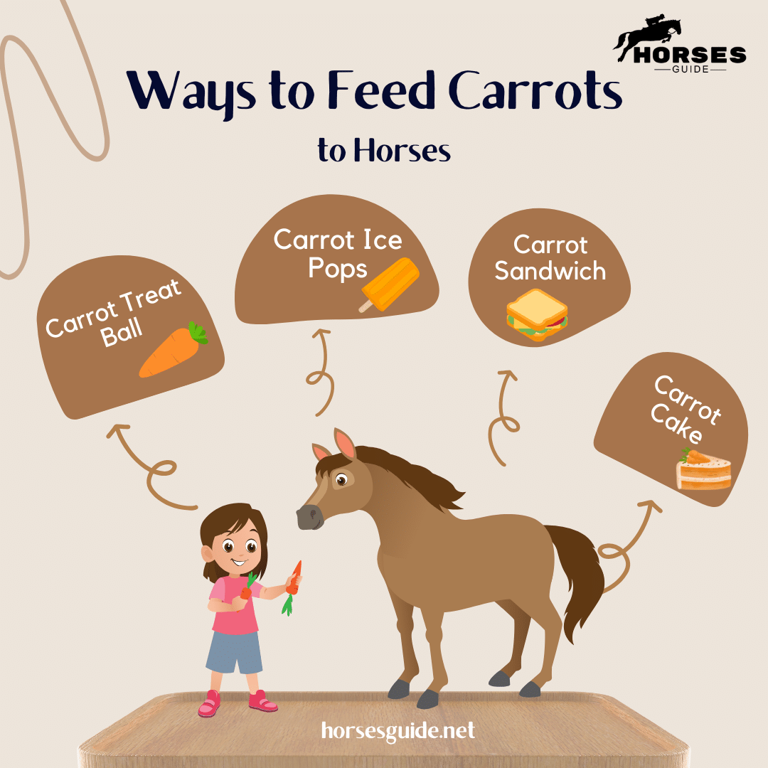 Ways to Feed Carrots to Horses An Infographic