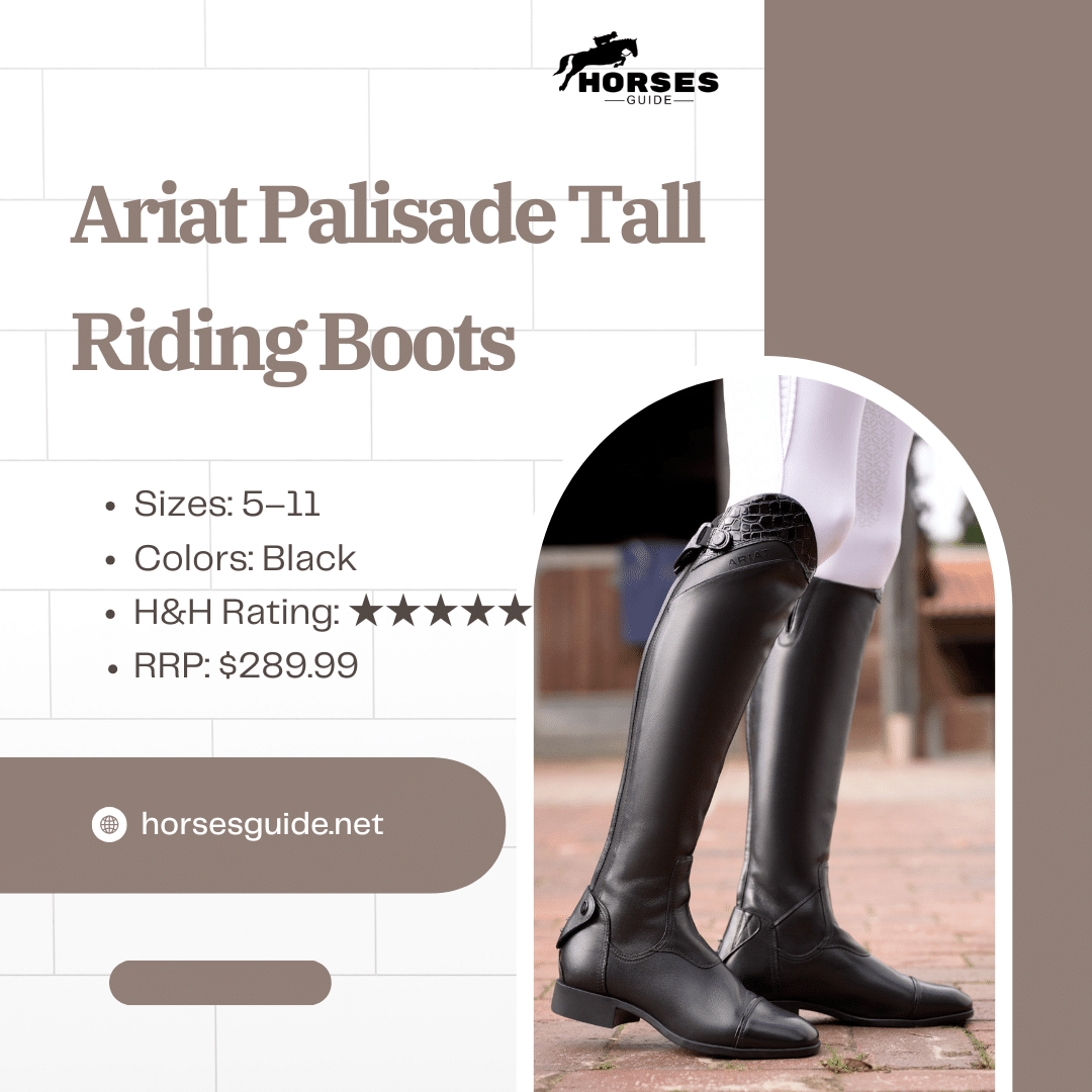 Ariat Palisade Tall Riding Boots on shades background