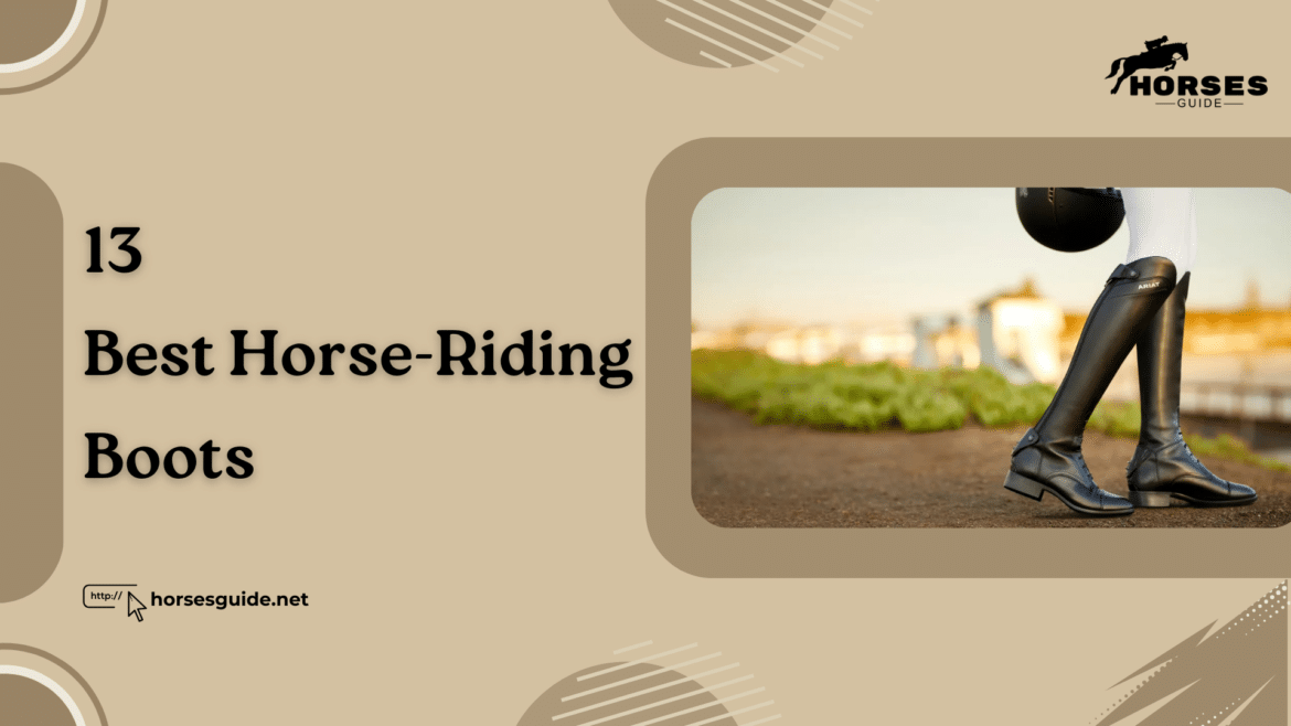 Best Horse Riding Boots