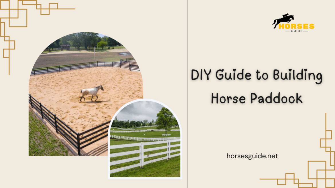 DIY Guide to Building Horse Paddock DIY Guide to Building Horse Paddock