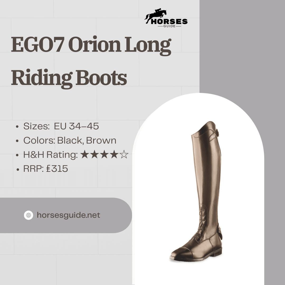 EGO Orion Long Riding Boots on 2shades background